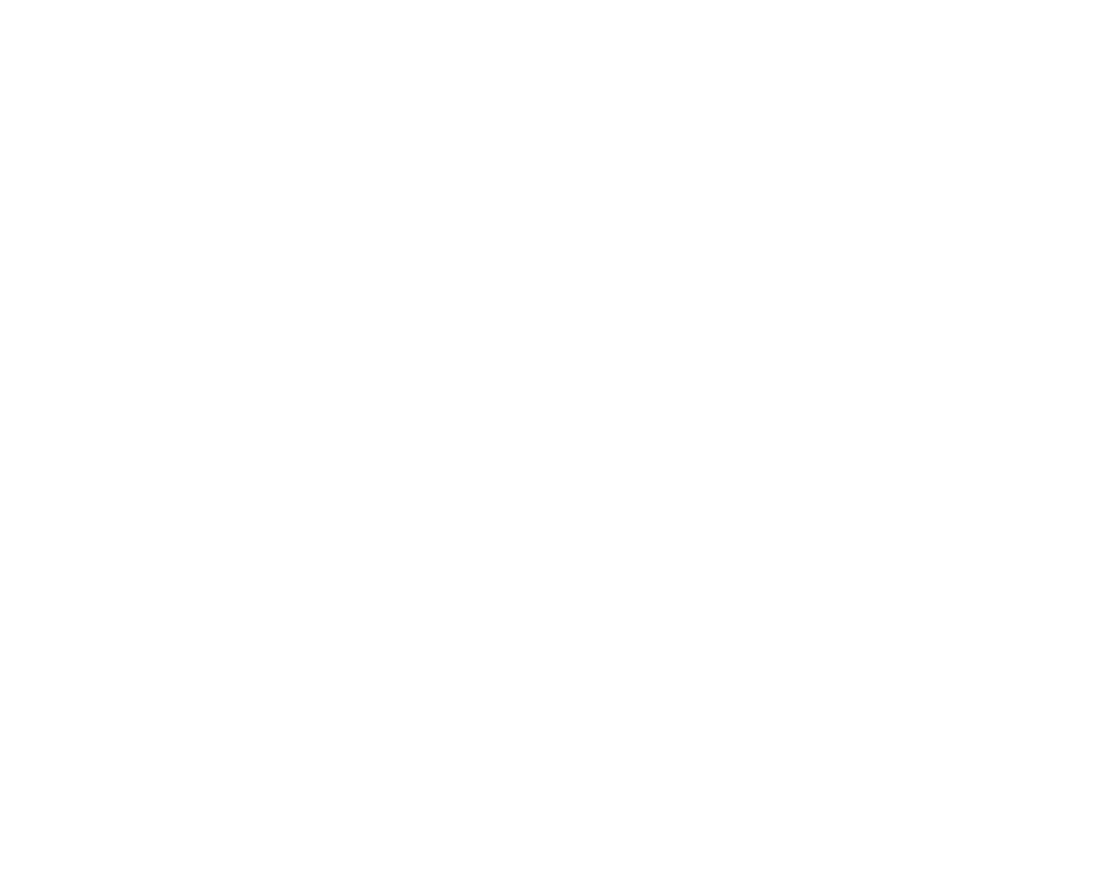 CLEAN THIS CAR -logo site